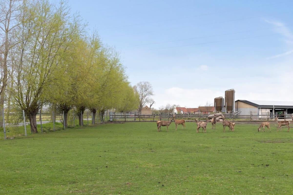 Huswell - Family House With A Beautiful View In Damme Vila Bruges Exterior foto